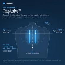 TrapActive diagram: two EMS pads either side of the spine over the rhomboids and mid-traps